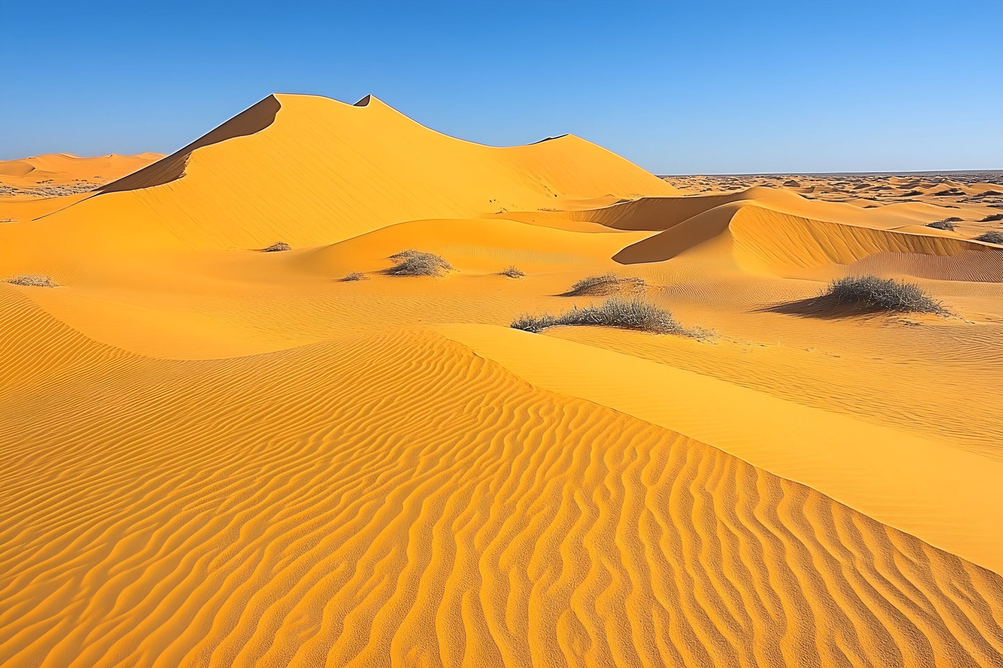 Sahara Desert Photography Backdrop, Golden Sands Digital Background, Photo Prop, Middle East Scene, Travel Photography, Dreamy Mirage