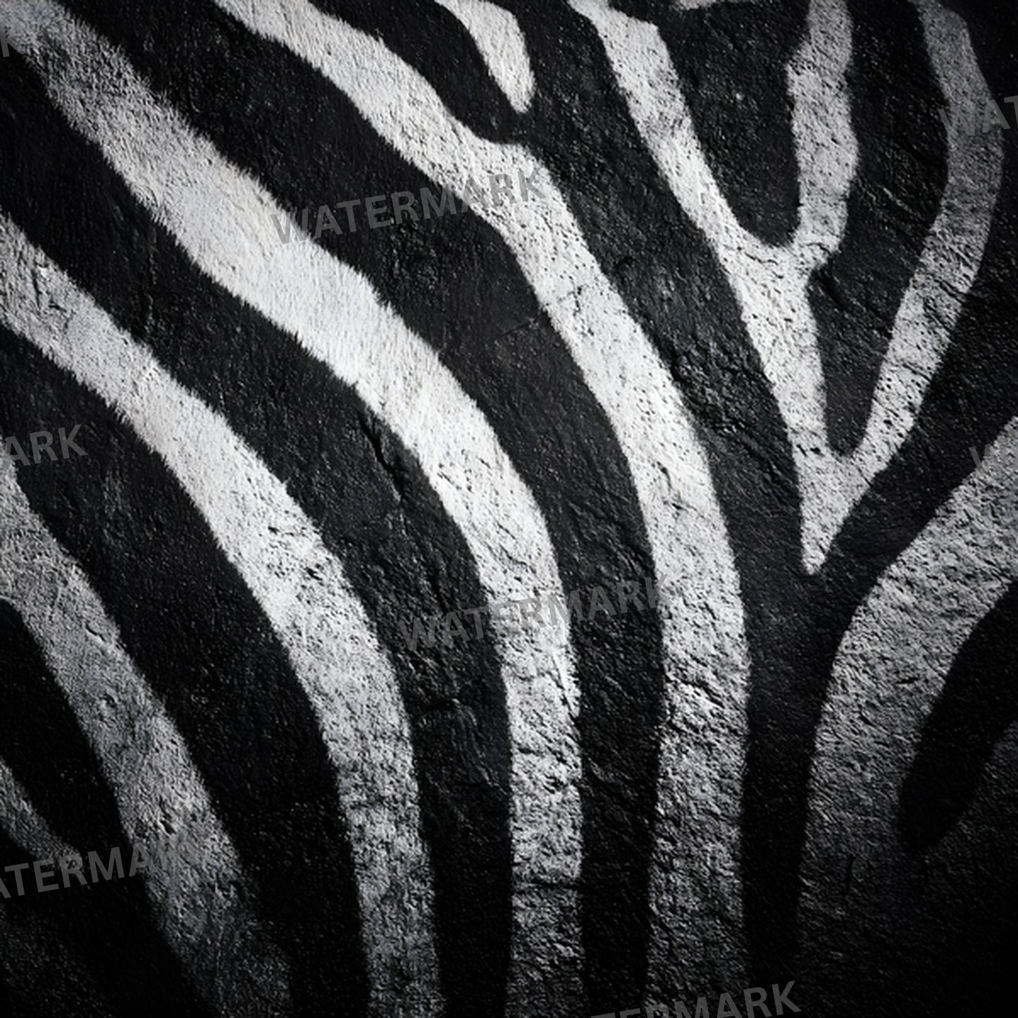 Zebra Print Digital Backdrop, Black and White Photography Background, Square Animal Pattern Photo Booth Prop, Fashion Design Texture Overlay