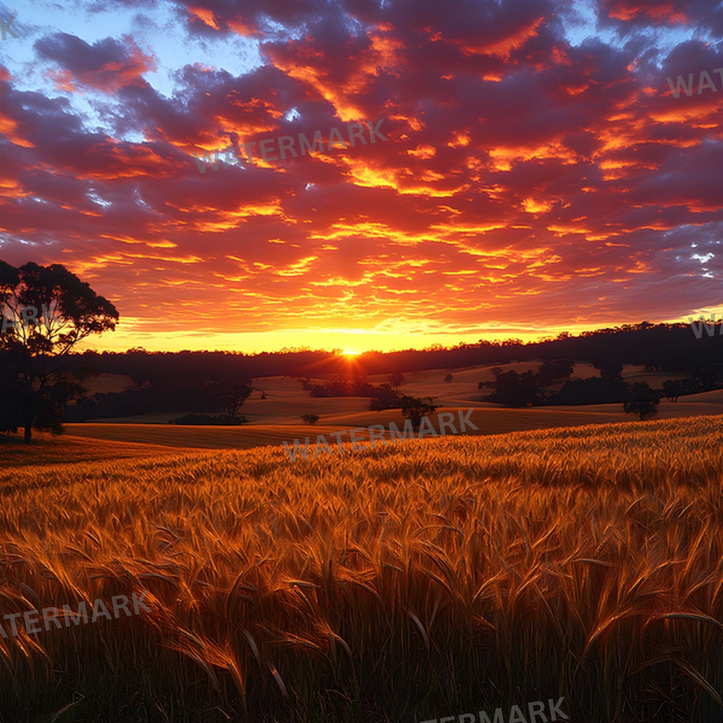 Warm Sunset Photography Backdrop, Golden Hour Digital Background for Portraits, Square Format Photo Booth Prop, Dreamy Sky Photography Resource