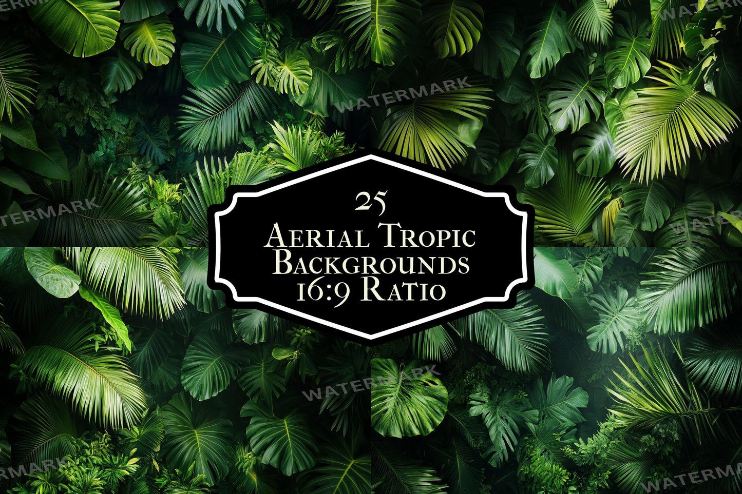 Aerial Tropic Leafy Green Backdrops - TV wallpaper, 16:9 ratio.perfect for streaming backgrounds, Photoshop, Overlays, Photography Backdrops