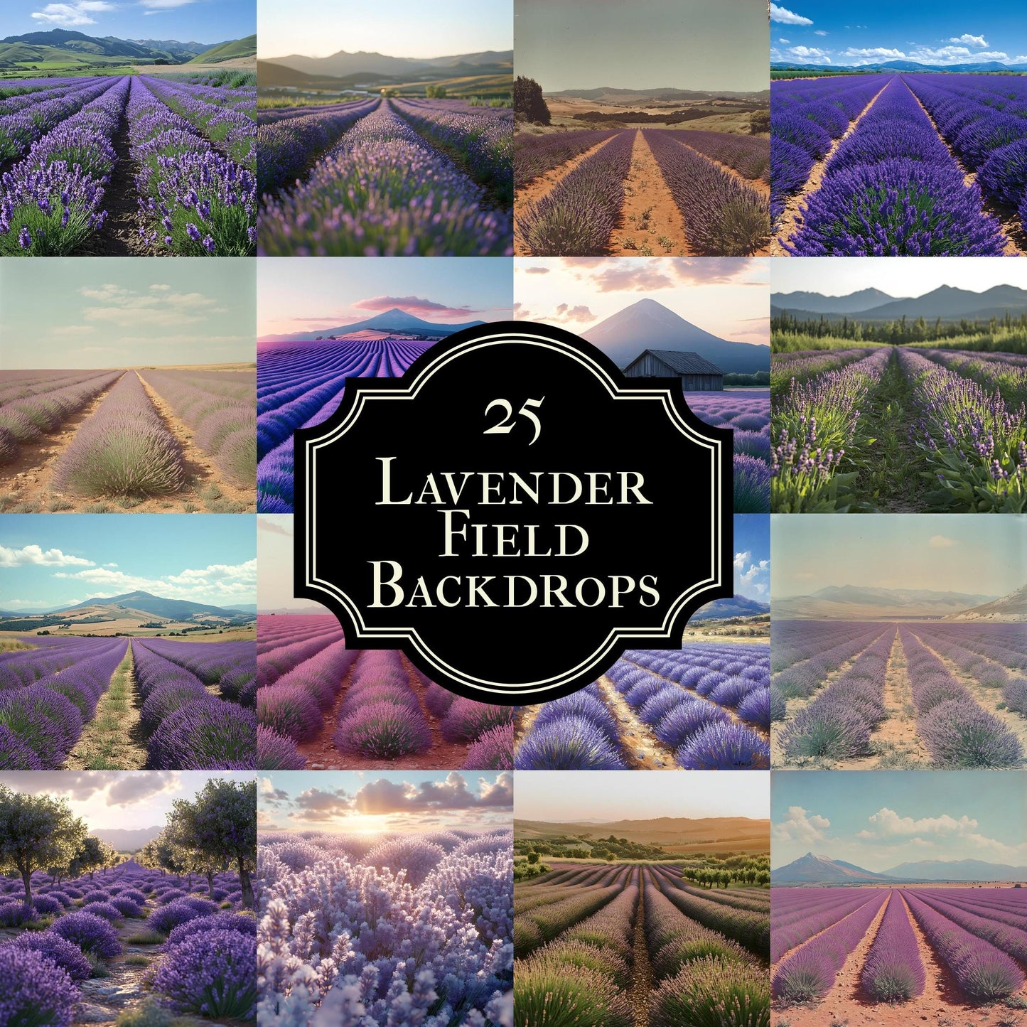Lavender Field Backdrops - Digital Floral Background, Photography, Photoshop Overlays, Portraits, Products, Maternity & Wedding Backdrops