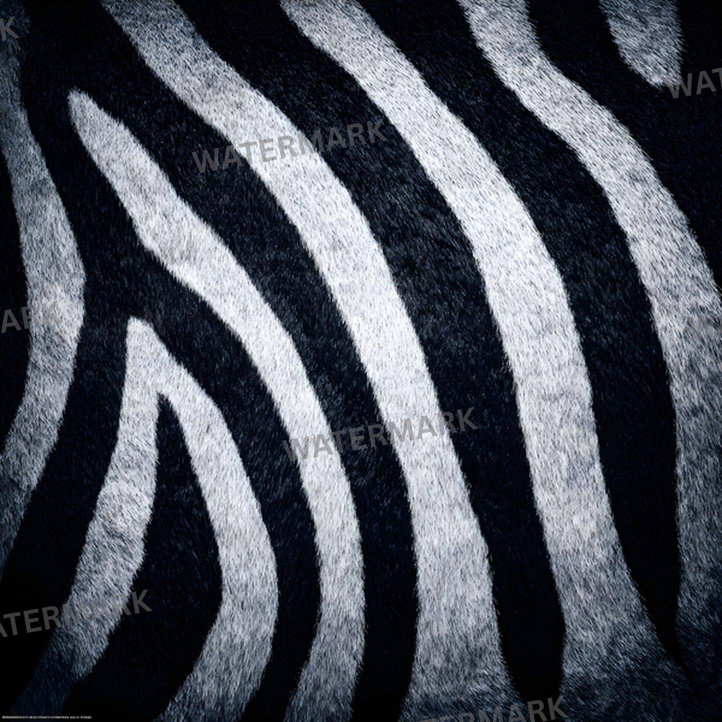 Zebra Print Digital Backdrop, Black and White Photography Background, Square Animal Pattern Photo Booth Prop, Fashion Design Texture Overlay