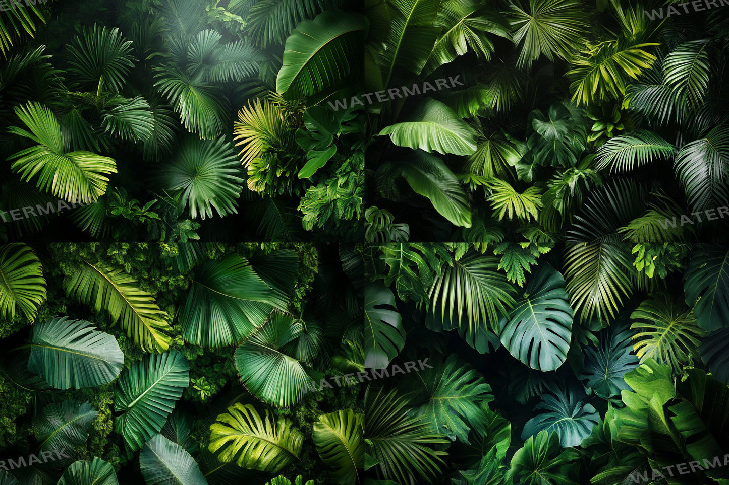 Aerial Tropic Leafy Green Backdrops - TV wallpaper, 16:9 ratio.perfect for streaming backgrounds, Photoshop, Overlays, Photography Backdrops