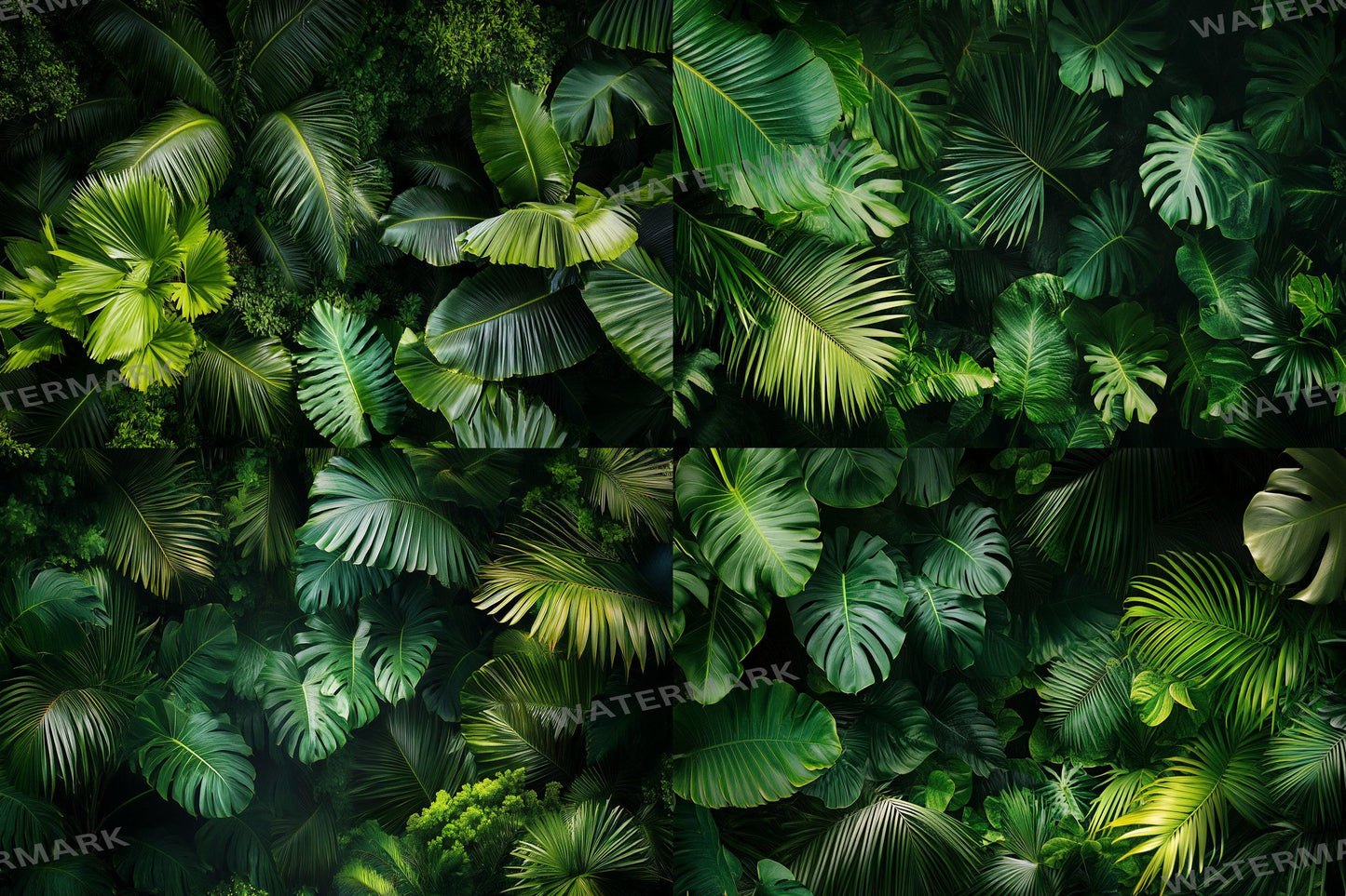 Aerial Tropic Leafy Green Backdrops - TV wallpaper, 16:9 ratio.perfect for streaming backgrounds, Photoshop, Overlays, Photography Backdrops