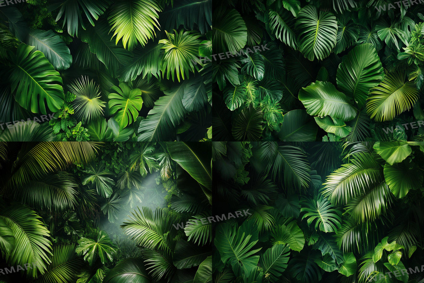 Aerial Tropic Leafy Green Backdrops - TV wallpaper, 16:9 ratio.perfect for streaming backgrounds, Photoshop, Overlays, Photography Backdrops