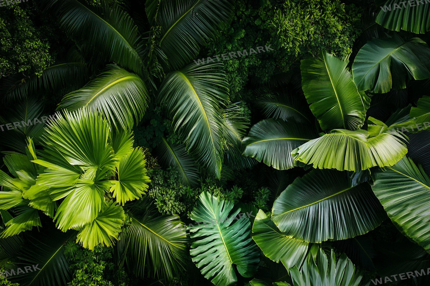 Aerial Tropic Leafy Green Backdrops - TV wallpaper, 16:9 ratio.perfect for streaming backgrounds, Photoshop, Overlays, Photography Backdrops