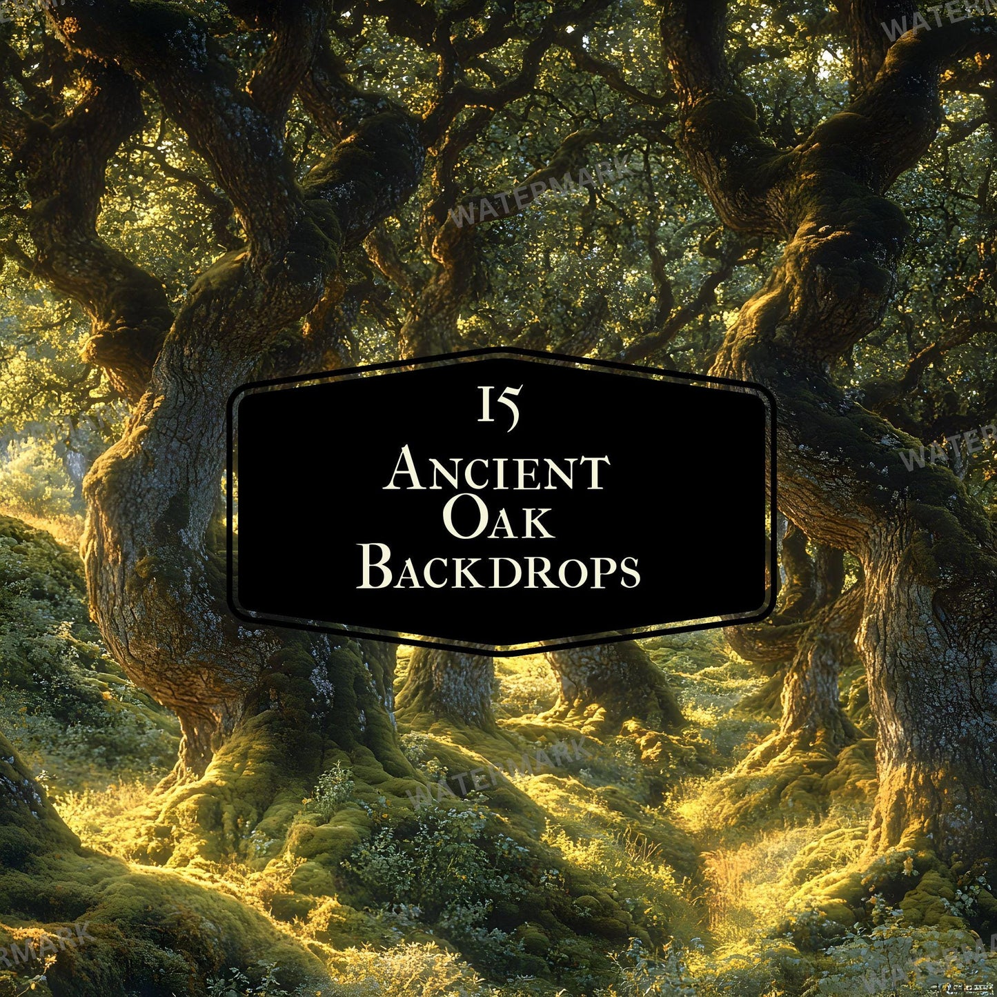 Ancient Oak Digital Photography Backdrop - 96x96px Overlay for Stunning Studio Composites Wallpaper Portrait Backgrounds