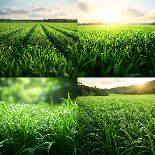 Sporty Green Field Backdrop for Photography, Lush Background, Digital Download for Sports Portraits, Team Photos, and Action Shots