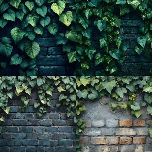 Summer Ivy Leaves Digital Backdrop, Greenery Background for Photography, Nature Photo Prop, High-Resolution Images