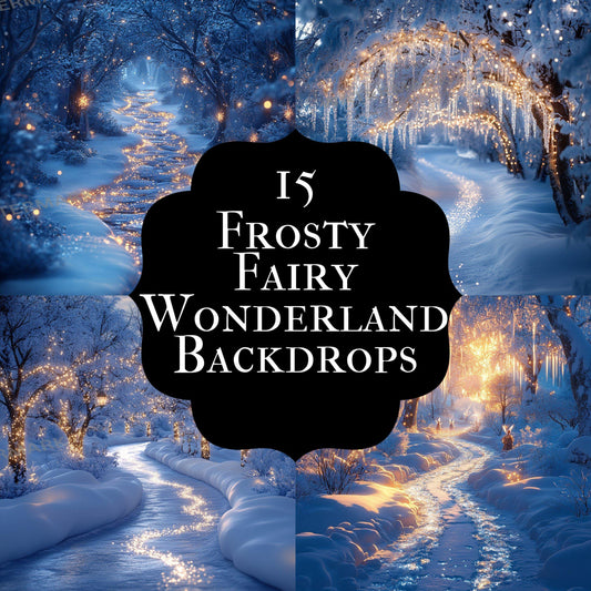 Frosty Fairy Winter Wonderland Digital Backdrops: 1Enchanted Winter Scenes, Photography Composites, Christmas, Xmas - Winter Backdrops