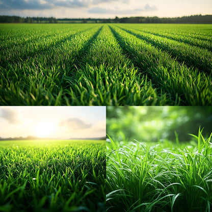 Sporty Green Field Backdrop for Photography, Lush Background, Digital Download for Sports Portraits, Team Photos, and Action Shots