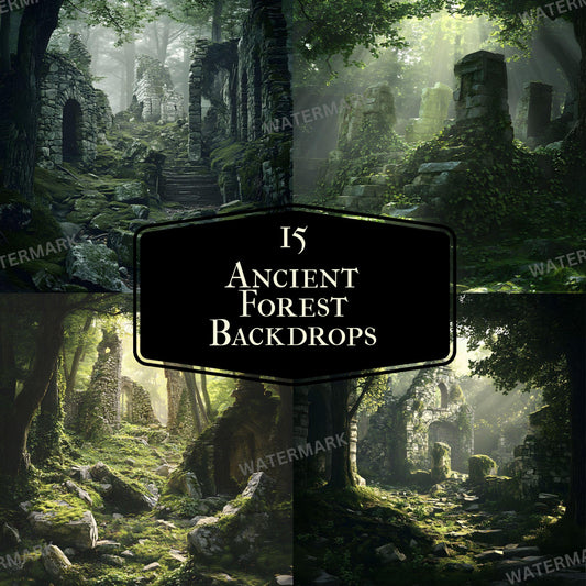 Ancient Forest Digital Photo Backdrops for Master Overlays Composites  Portrait Backgrounds 96x96px Square for Creative Photography Use