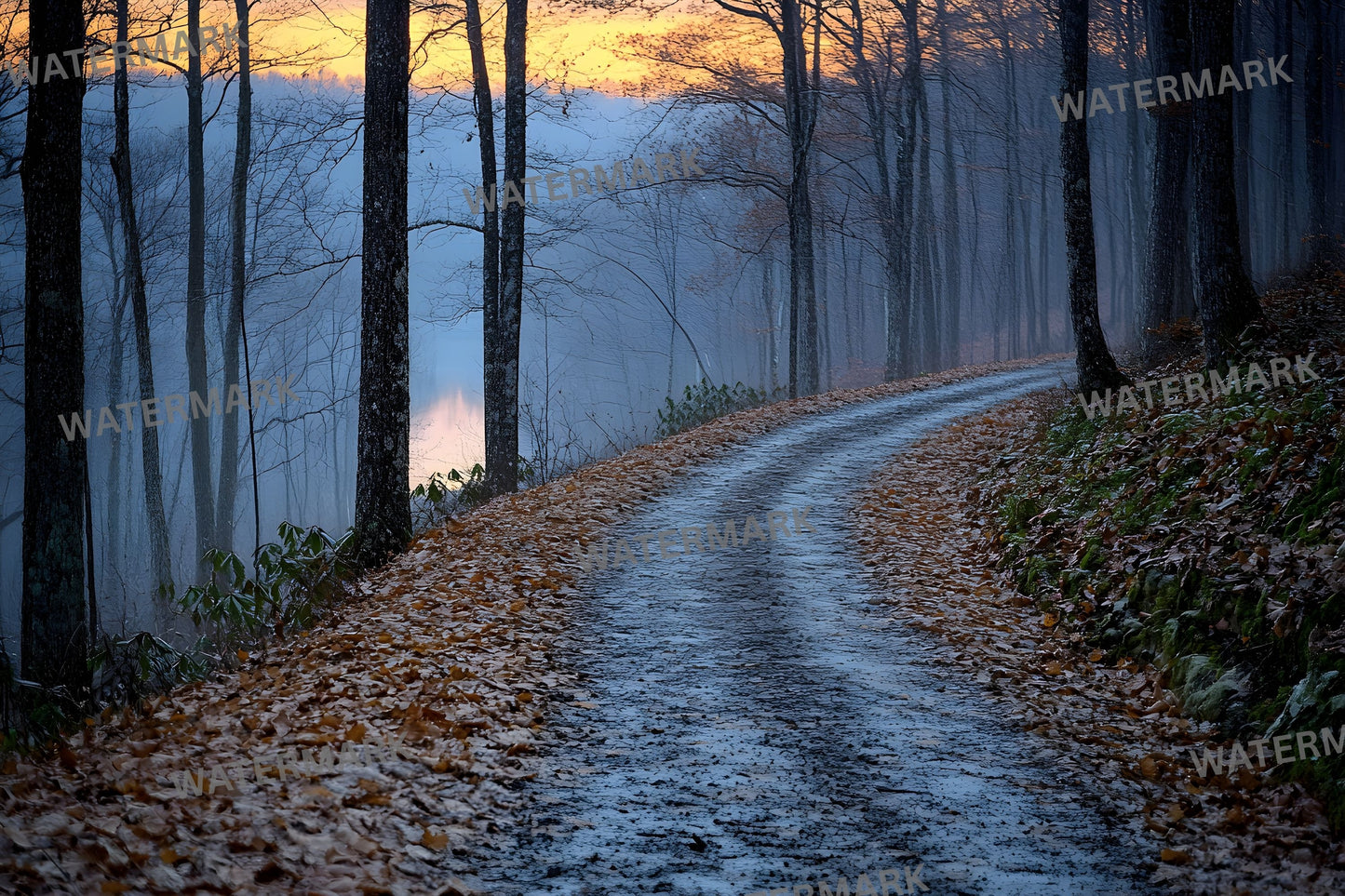 Wooded Trail Dusk Digital Backdrop, Enchanted Forest Background, Photography, Scenic Photo Overlay, Fantasy Portrait, Nature Scene