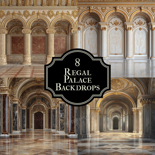 Regal Palace Photography Background Backdrop, Elegant Portrait Background, Composite, Photoshop, Digital Backdrop Vintage Texture Overlay