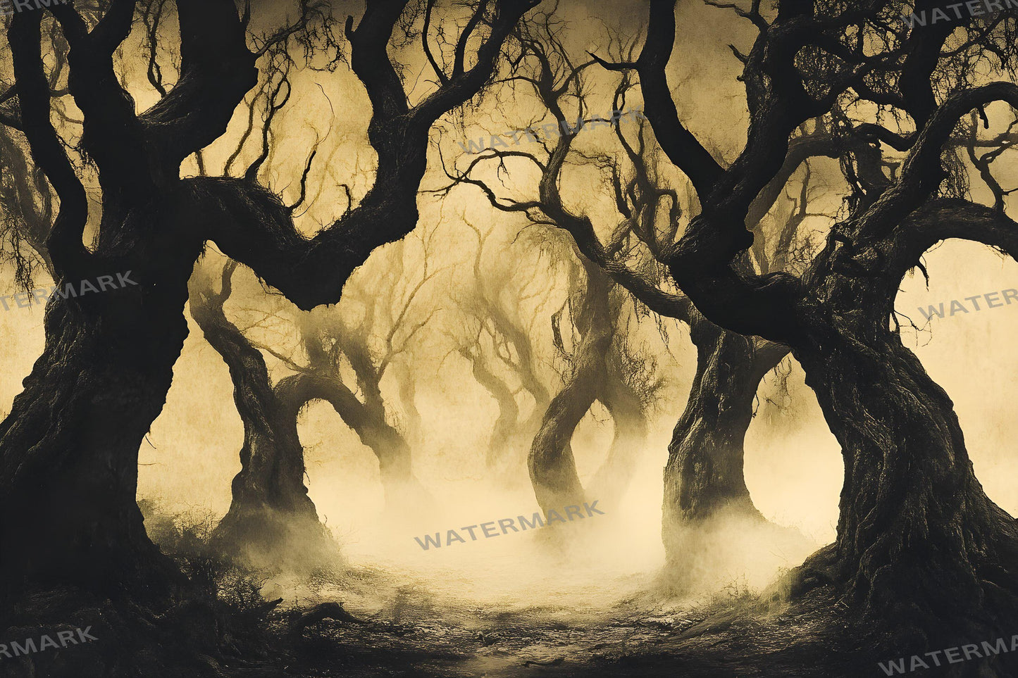 Spooky Forest Digital Photography Backdrops - Dark Woods Photoshop Overlays - Halloween Fantasy Backgrounds - Digital Master Composites