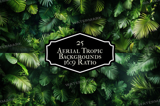 Aerial Tropic Leafy Green Backdrops - TV wallpaper, 16:9 ratio.perfect for streaming backgrounds, Photoshop, Overlays, Photography Backdrops