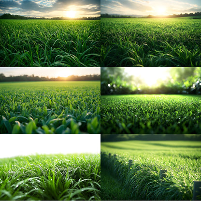 Sporty Green Field Backdrop, Lush Backgrounds, Digital Photography Backdrops for Sports Portraits, Team Photo Day, High Resolution Images