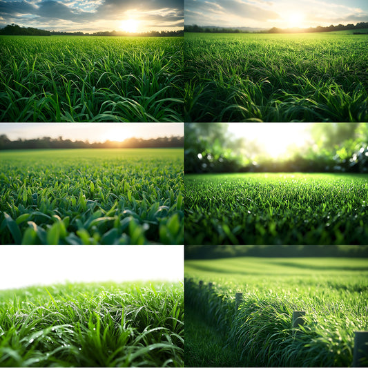 Sporty Green Field Backdrop, Lush Backgrounds, Digital Photography Backdrops for Sports Portraits, Team Photo Day, High Resolution Images