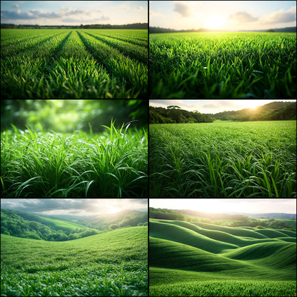 Sporty Green Field Backdrop for Photography, Lush Background, Digital Download for Sports Portraits, Team Photos, and Action Shots