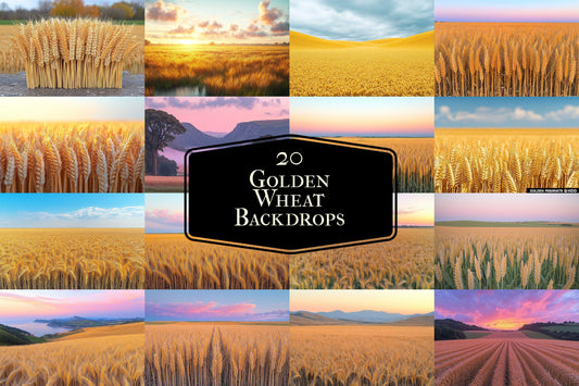 Golden Wheat Backdrops | Rural Fields | Harvest Scenery | Rustic Farm | Golden Hour | Digital Backgrounds