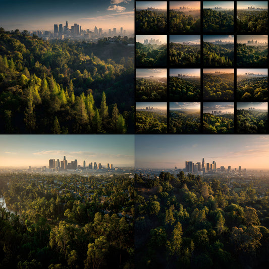 Urban Forest Digital Backdrop Collection, Square Photography Backgrounds for Nature-Inspired Portraits & Creative Photo Overlays