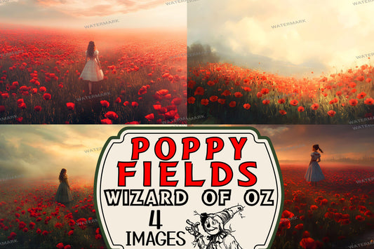 Dreamy Poppy Fields Digital Backdrop, Wizard of Oz Photography Background with Solitary Figure, Red Flower Landscape Scene