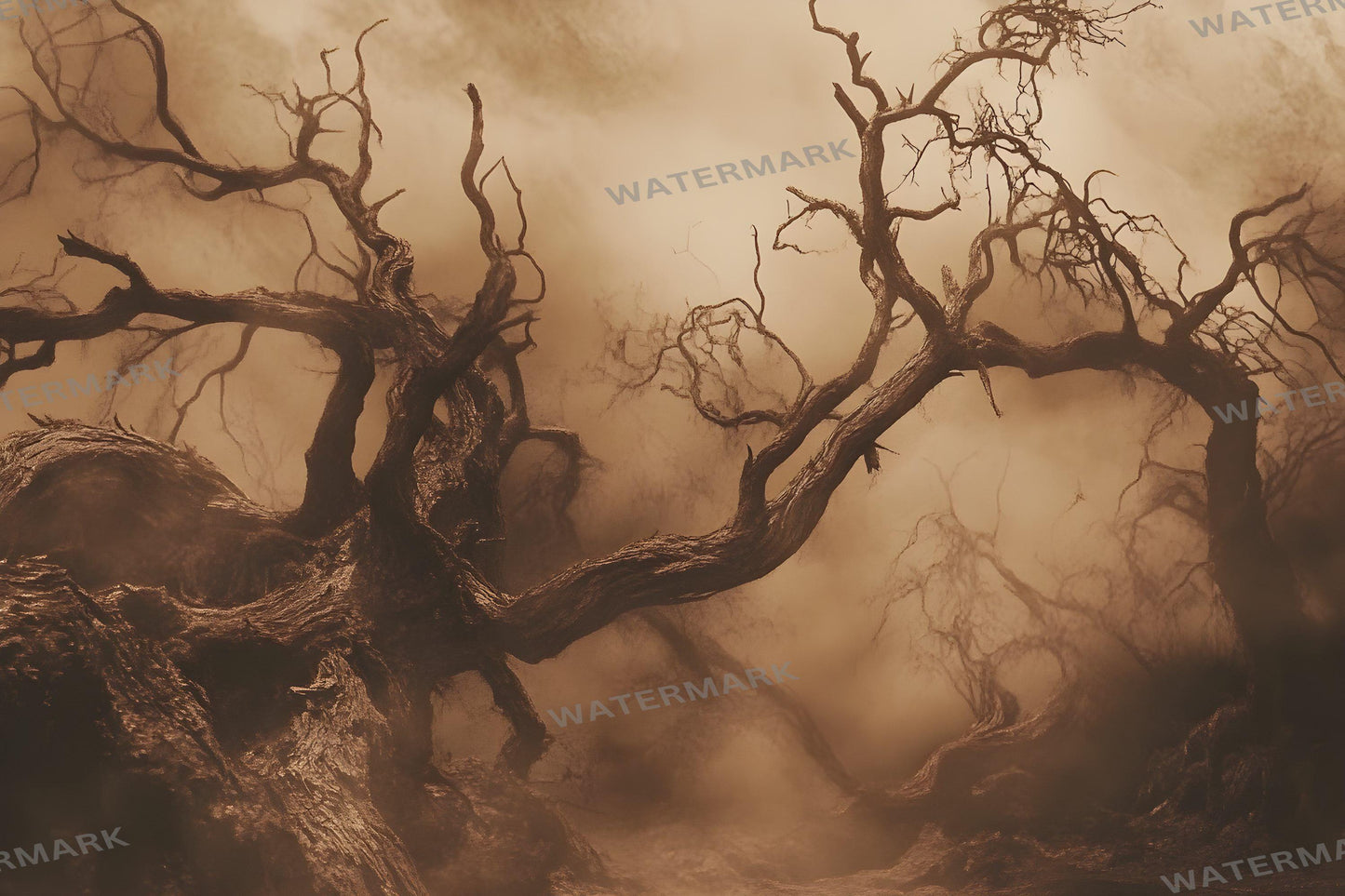 Spooky Forest Digital Photography Backdrops - Dark Woods Photoshop Overlays - Halloween Fantasy Backgrounds - Digital Master Composites
