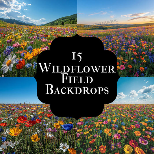 Wildflower Field Digital Backdrops  2High-Resolution PNGs 96x96px for Photography  Commercial Use Available