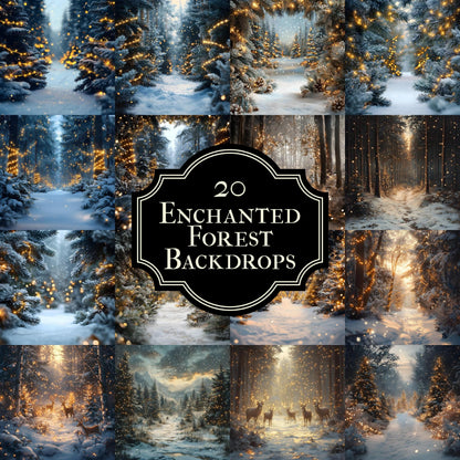 Enchanted Forest Backdrops - Magical Digital Backgrounds for Photography, Photoshop Overlays & Winter Wonderland Backgrounds