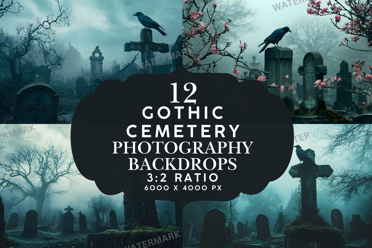 Gothic Cemetery Backdrops - 1High-Resolution PNG Designs 00x00px for Dark Gothic Aesthetic  Commercial Use - Gothic Bird Crow Backdrop