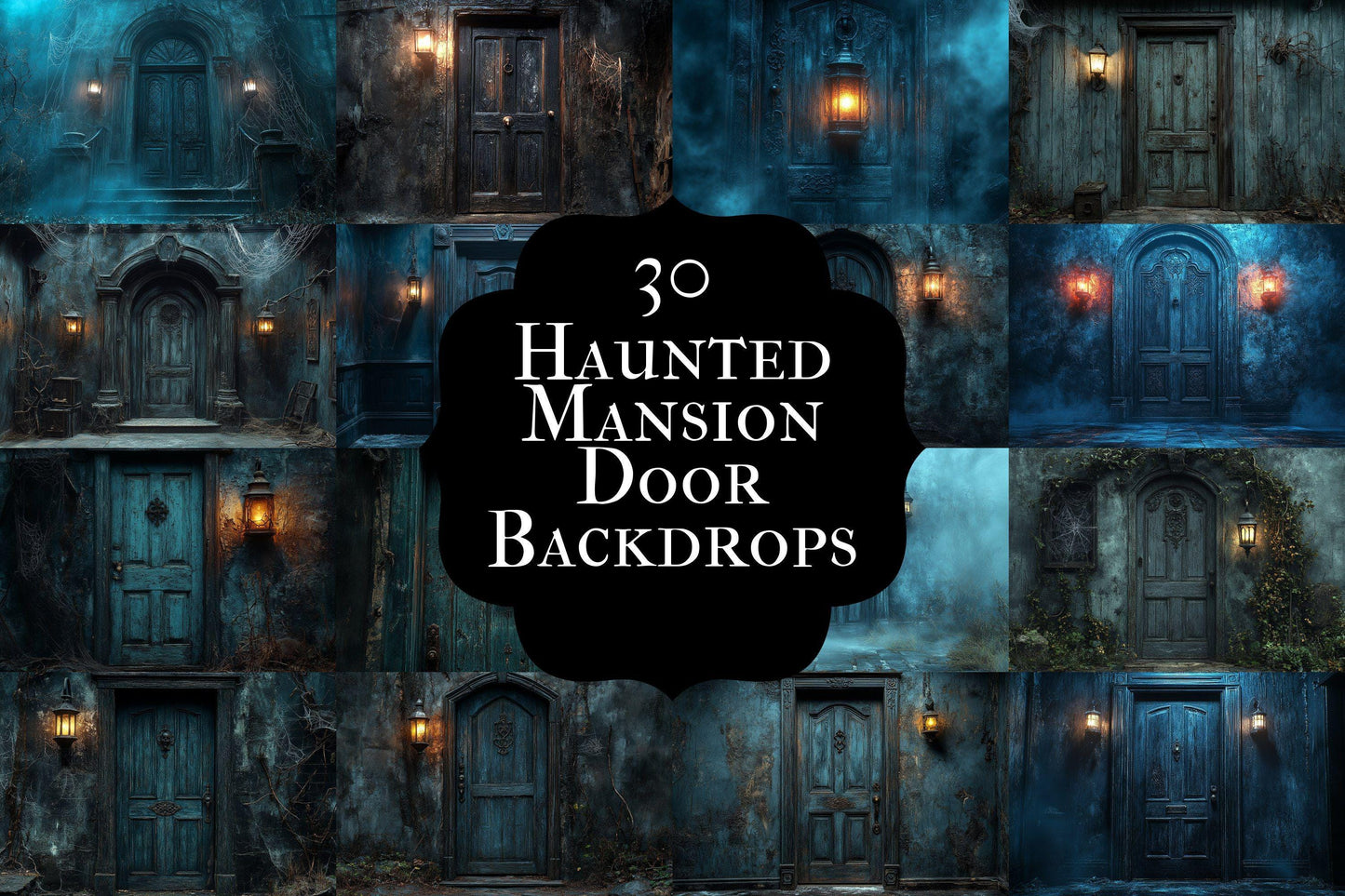 Haunted Mansion Door Backdrops ��������� Spooky Grunge Backdrops for Halloween & Gothic Photography Sessions - Gothic Backdrops and Backgrounds