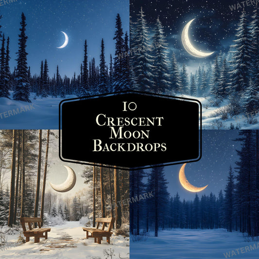 Crescent Moon Photography Backdrop Set - 12 Unique Digital Designs for Studio  Portrait Use - 11 Ratio 96x96px Commercial Use Allowed